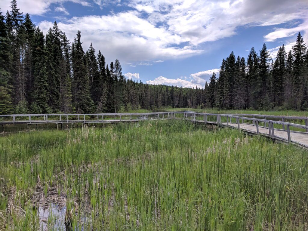 an image of elevated wooden boardwalk, waskesiu river trail, prince albert national park, saskatchewan 
