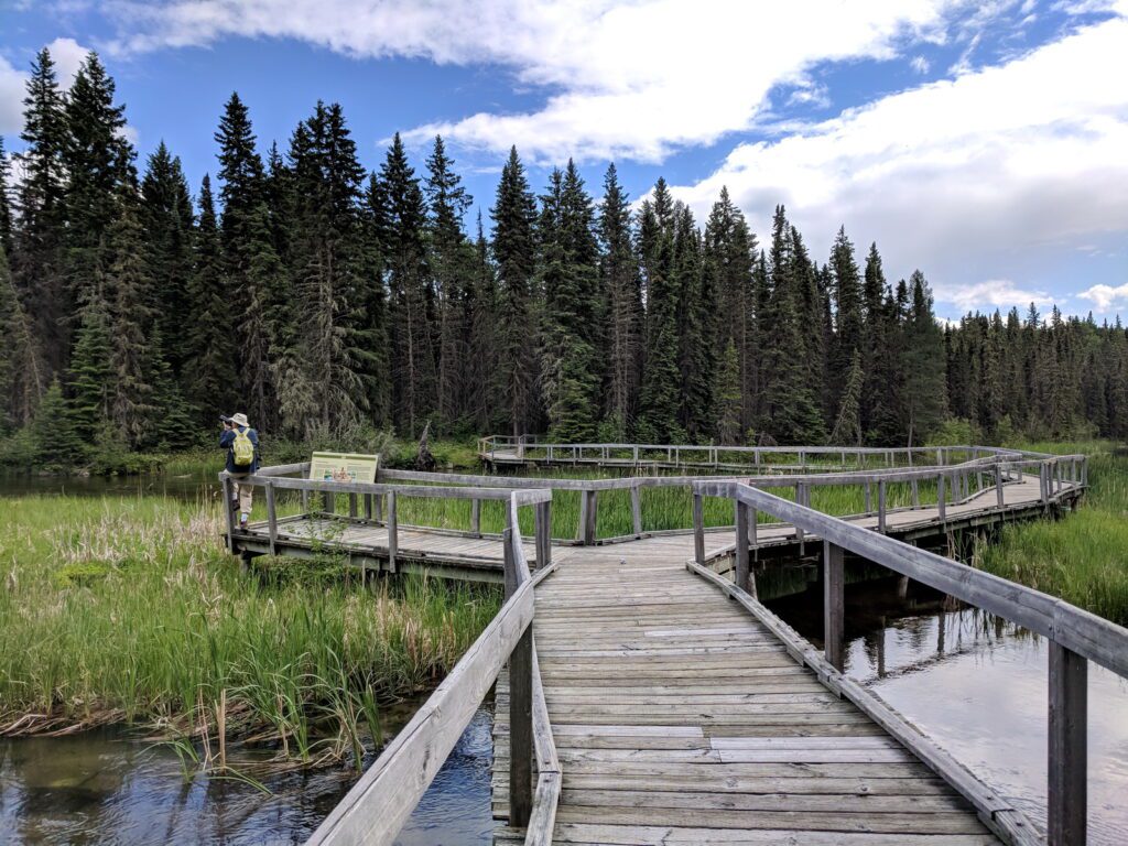 image of bob on wooden observation deck, waskesiu river trail, prince albert national park, saskatchewan