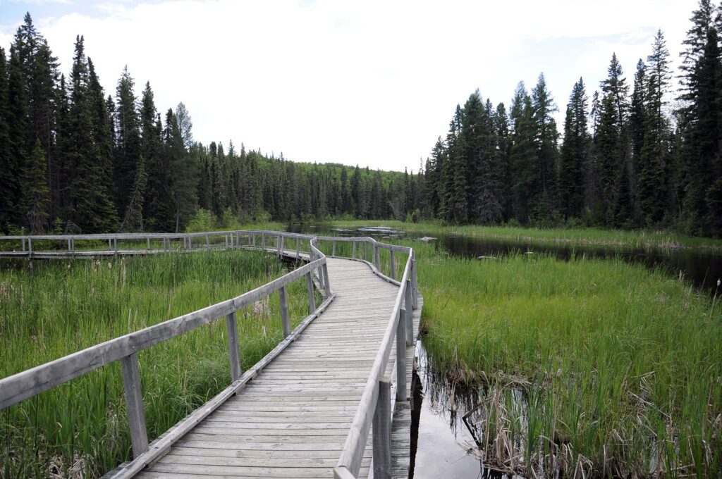image of elevated wooden boardwalk, waskesiu river trail, prince albert national park, saskatchewan