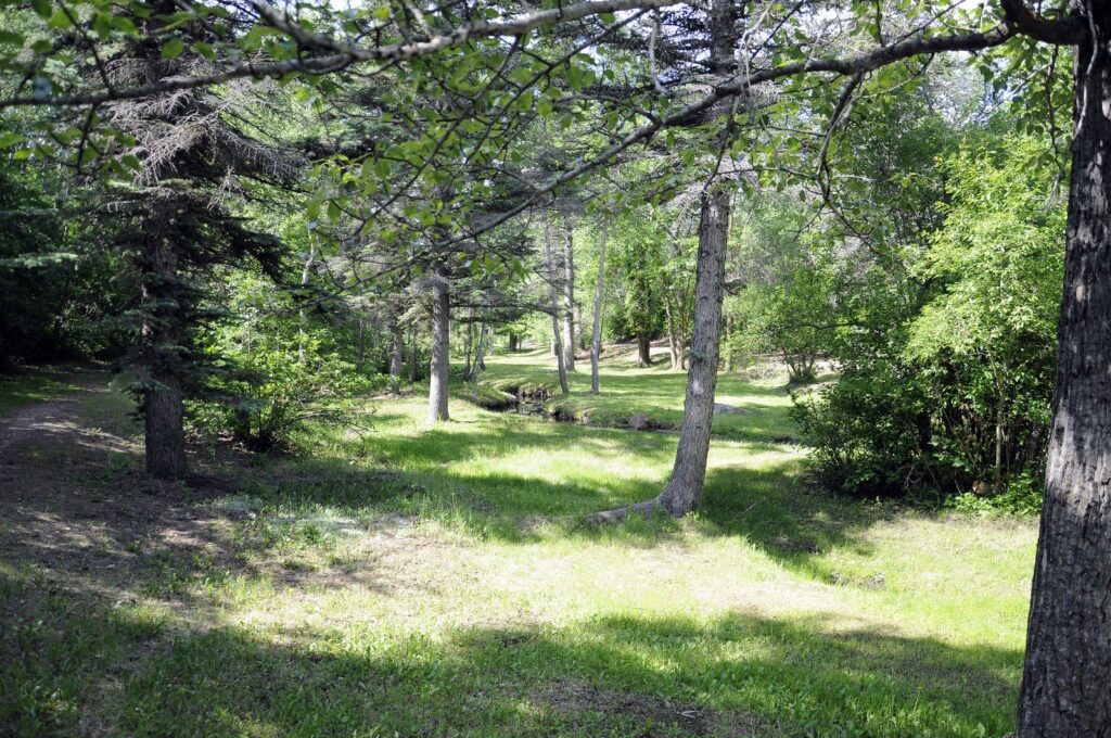 image of wellington park, watrous, saskatchewan 