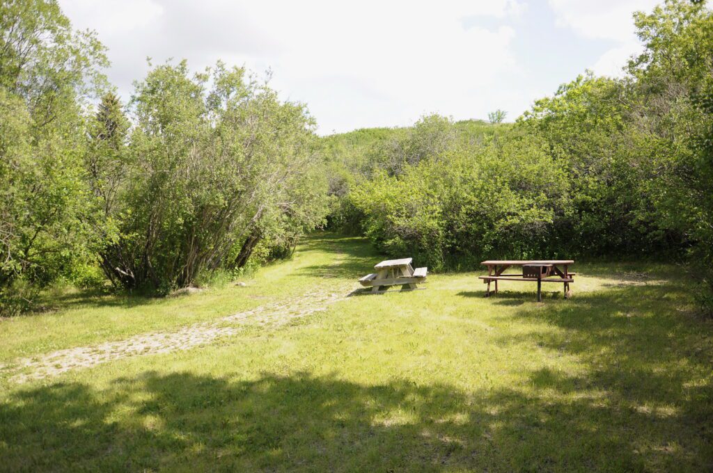 image of grassy area with picnic tables, wellington park, watrous, saskatchewan 