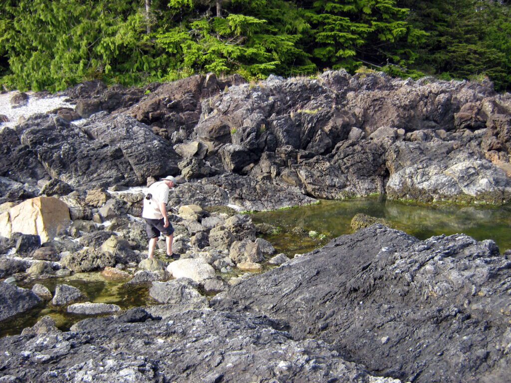 image of bob searching the beach, ahous bay, vargas island, british columbia