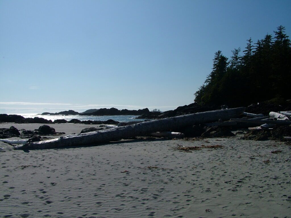 image of backlit reefs and trees, medallion beach, vargas island, british columbia