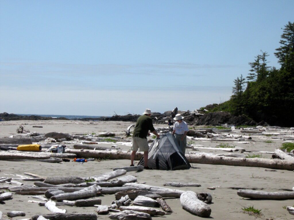 image of driftwood, medallion beach, vargas island, british columbia