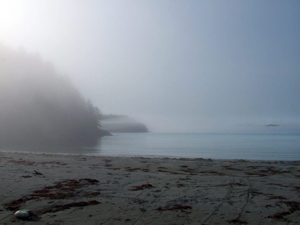 image of a foggy beach, vargas island, british columbia