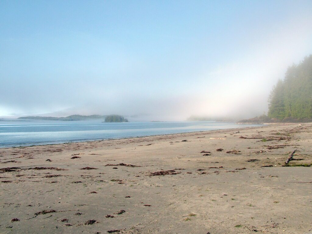 image of sandy beach and fog, vargas island, british columbia