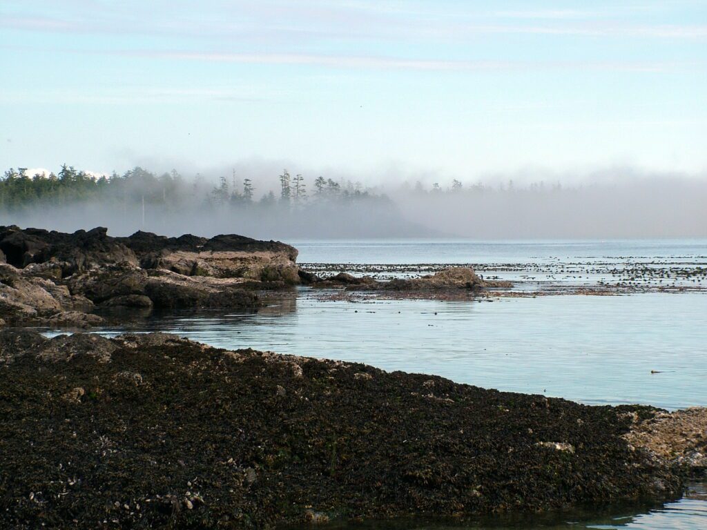 image of fog over ahous bay, vargas island, british columbia