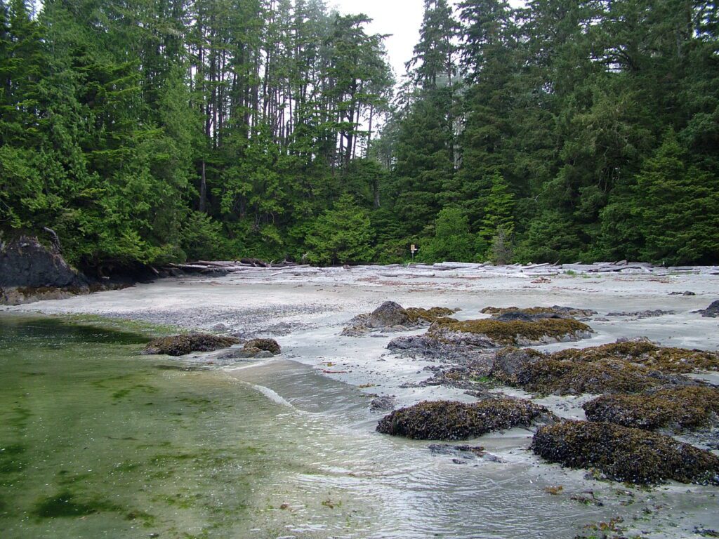 image of sand beach, ahous bay, vargas island, british columbia