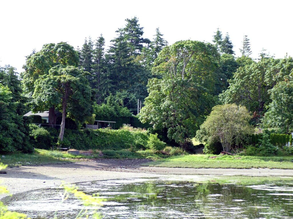 image of deep bay, vancouver island, british columbia