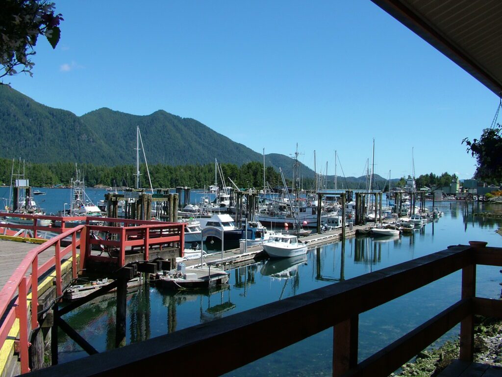 image of the harbour, tofino, vancouver island, british columbia 