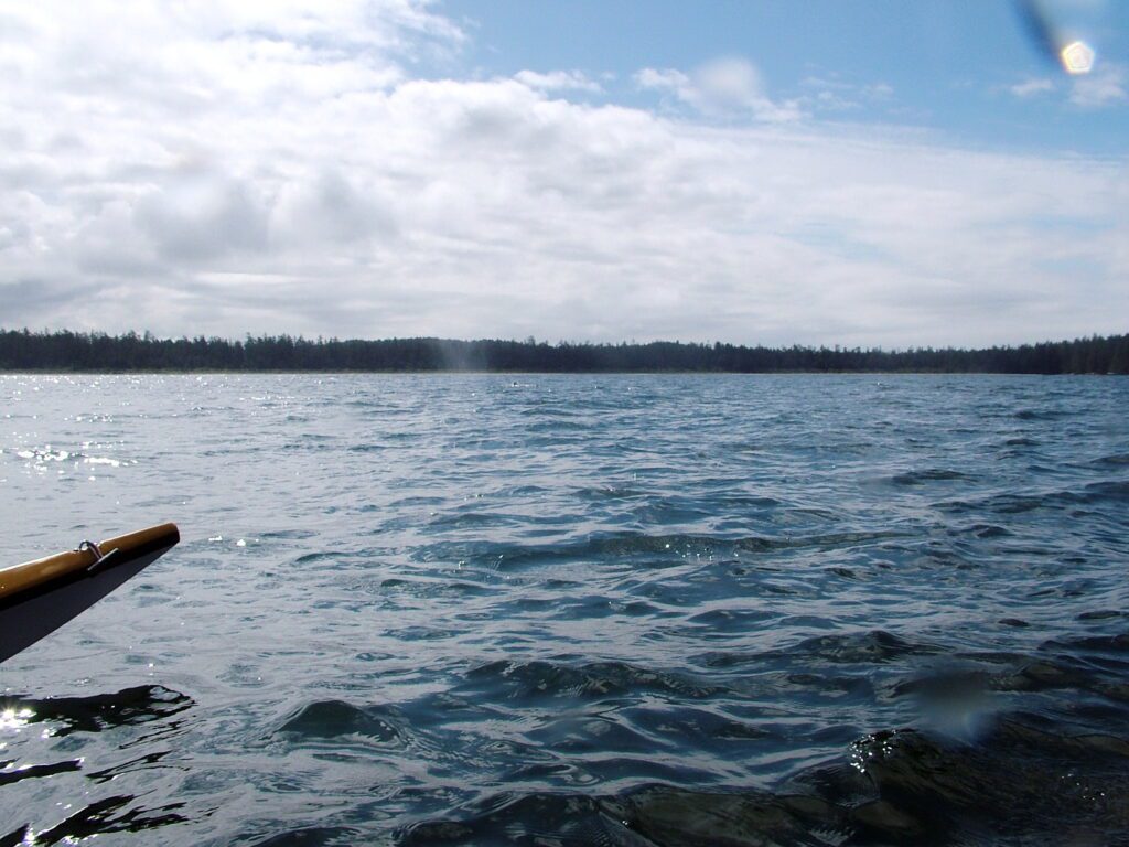 image of a gray whale spouting, ahous bay, vargas island, british columbia