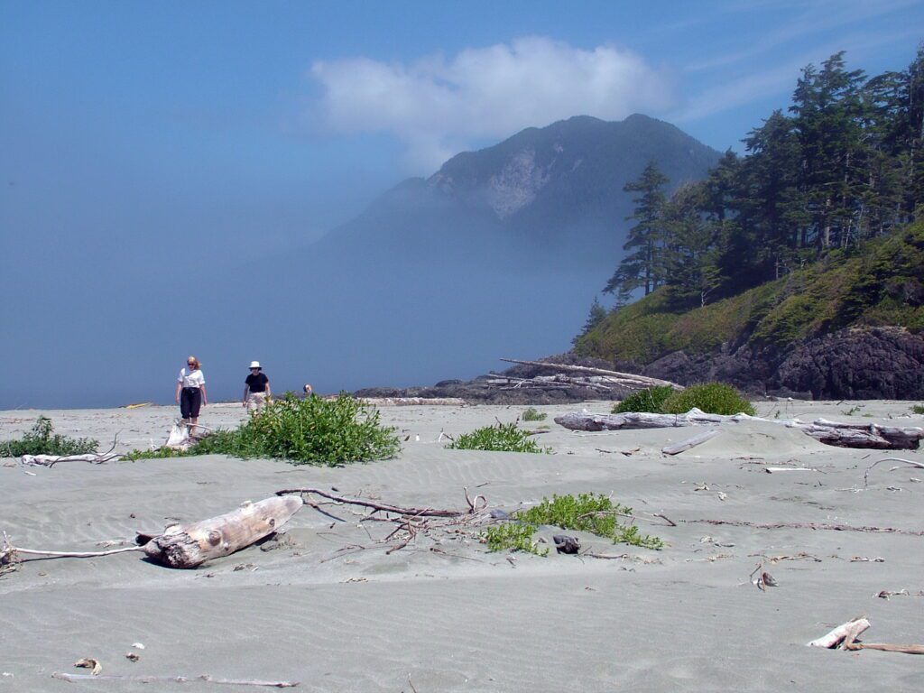 image of fog and catface mountain, british columbia