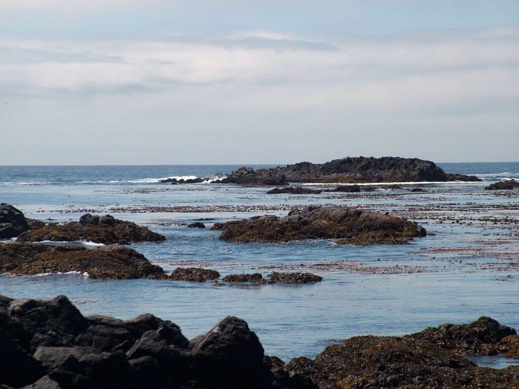 image of volcanic reefs, la croix group off vargas island, british columbia