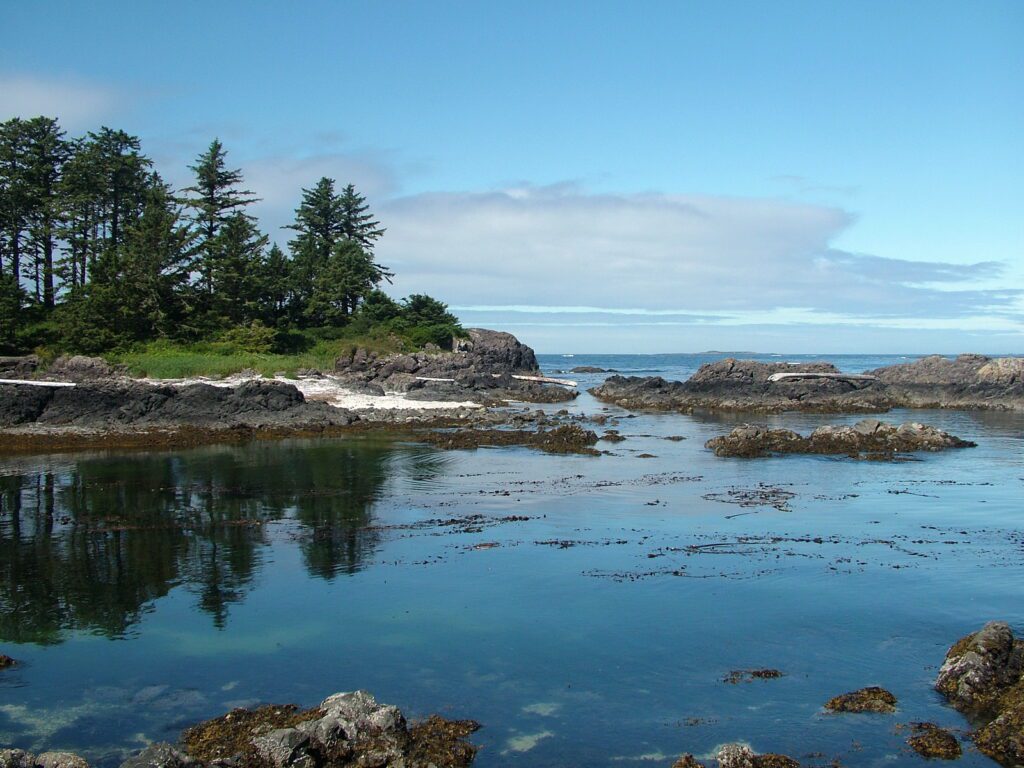image of volcanic reefs and shoreline, la croix group off vargas island, british columbia