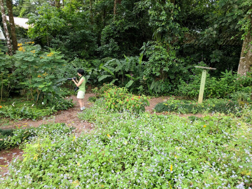 image of jean in the butterfly garden, la fortuna waterfall, la fortuna, costa rica