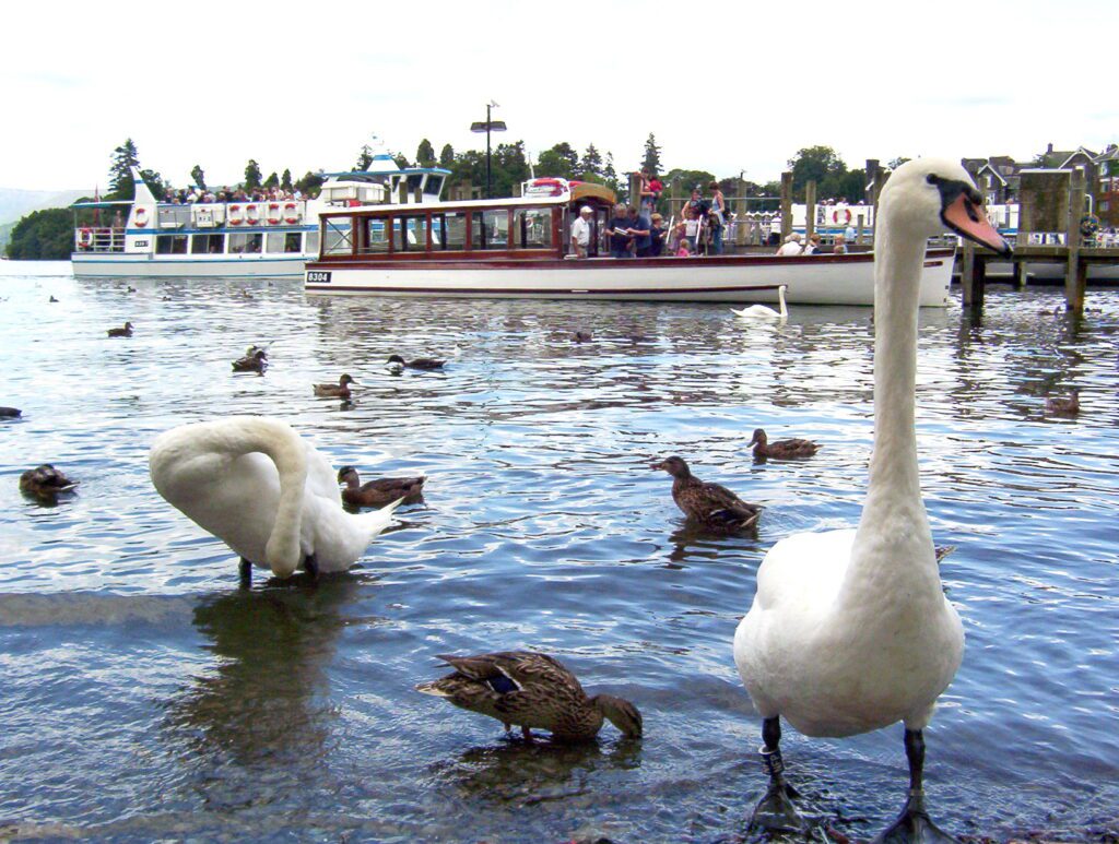 image of muriel II passenger launch, bowness-on-windermere, lake windermere, lake district national park, england