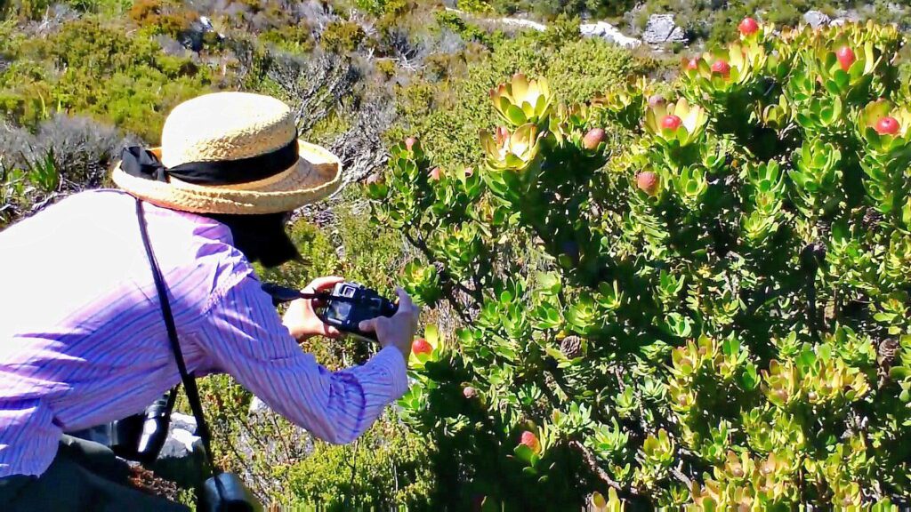 image of Jean taking a photo, Table Mountain, South Africa