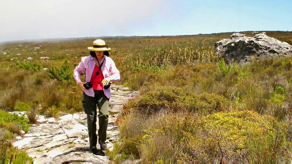 image of Jean on the plateau near Maclear's Beacon, Table Mountain, South Africa