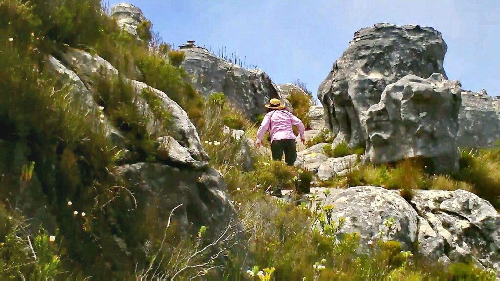 image of Jean climbing among the rocks, Table Mountain, Cape Town, South Africa