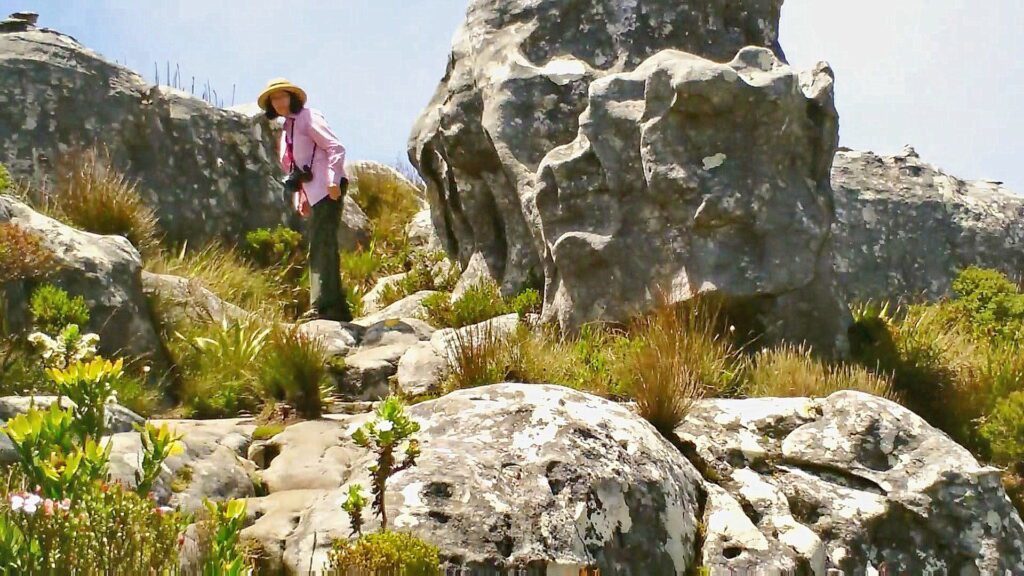 image of Jean on the trail to Maclear's Beacon, Table Mountain, Cape Town, South Africa 