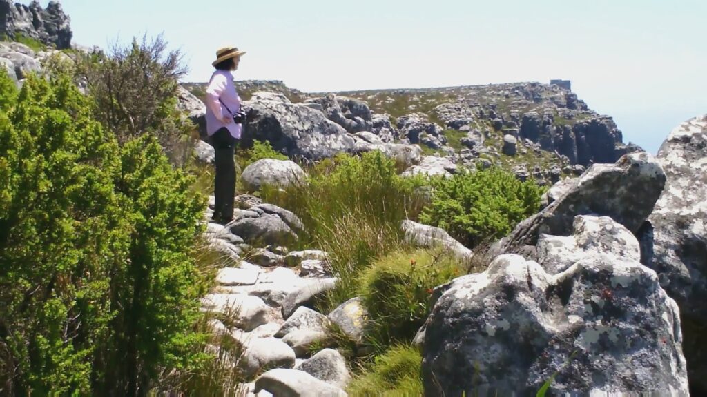 image of Jean on the Agama Walk, Table Mountain, Cape Town, South Africa