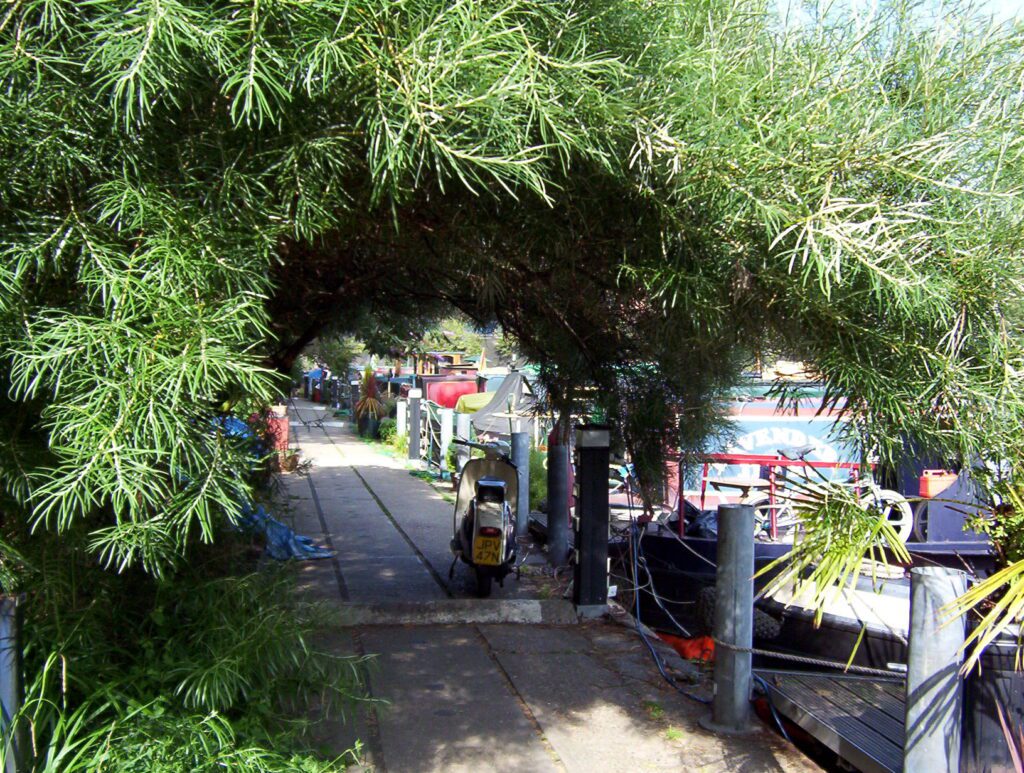 image of a living tunnel, Regent's Canal, Camden Town, London, England