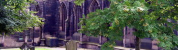 image of st marys church in barnsly, england