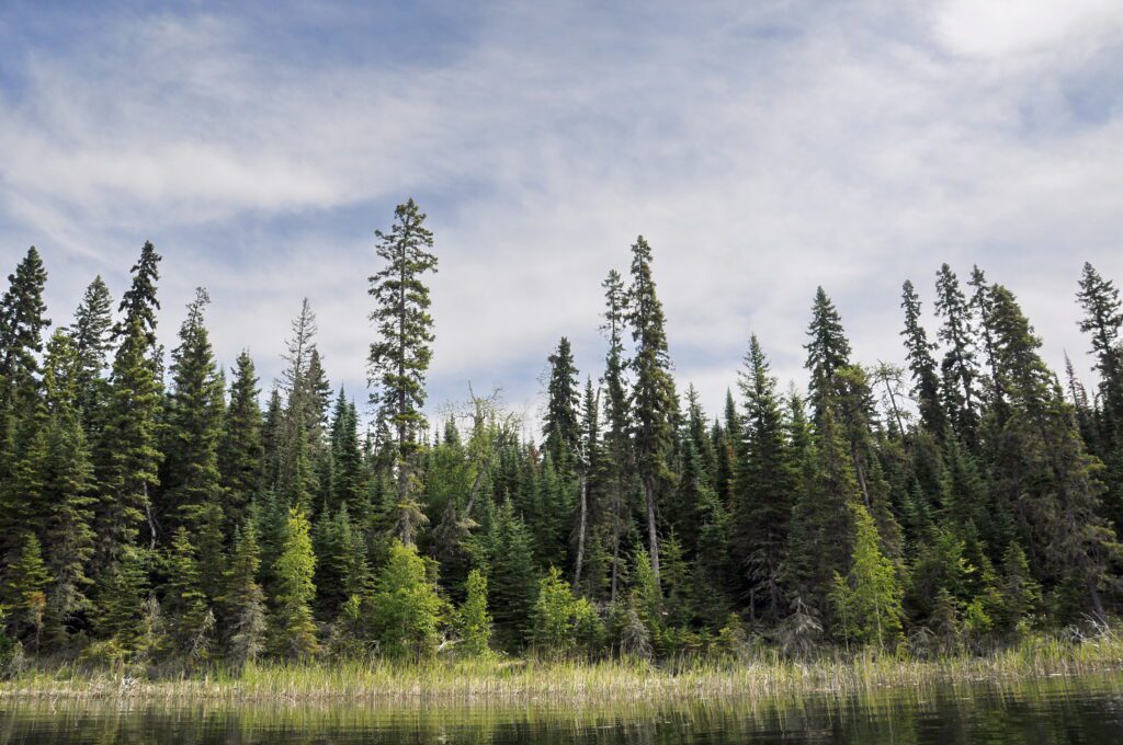 image of Hanging Heart Lake shoreline, Prince Albert National Park, Saskatchewan