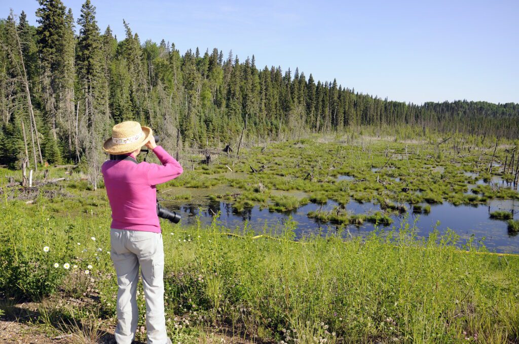 image of Jean at a roadside pond, Prince Albert National Park, Saskatchewan 
